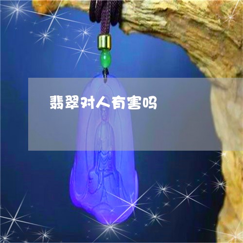 翡翠对人有害吗/2023032784703 翡翠对人有害吗/2023032784703