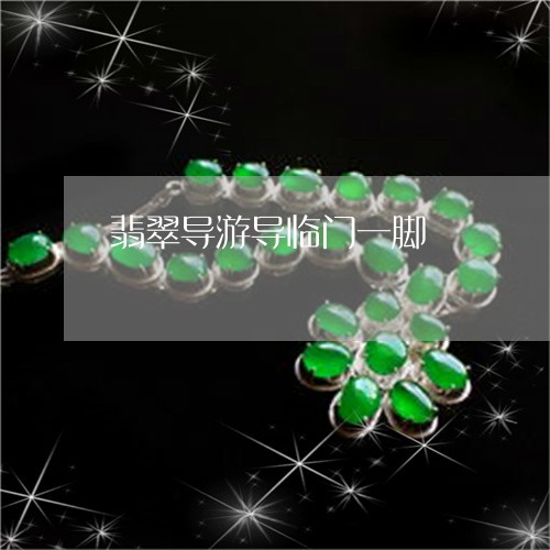 翡翠导游导临门一脚/2023040934959 翡翠导游导临门一脚/2023040934959