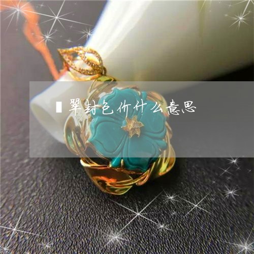 翡翠封包价什么意思/2023040936259 翡翠封包价什么意思/2023040936259