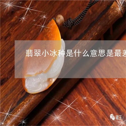 翡翠小冰种是什么意思是最差的吗/2023071284826