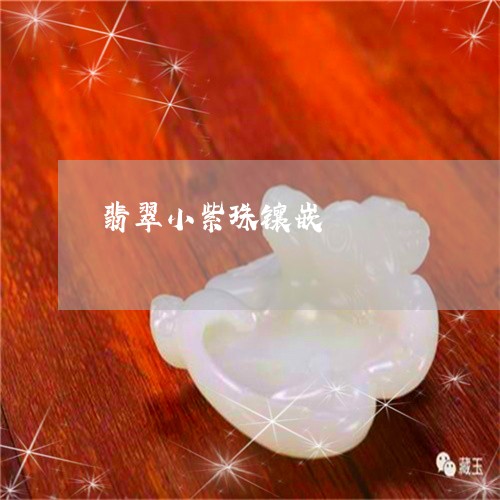 翡翠小紫珠镶嵌/2023032642593 翡翠小紫珠镶嵌/2023032642593