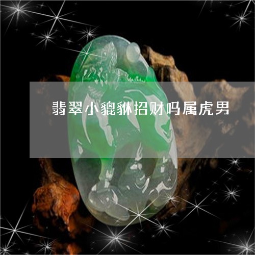 翡翠小貔貅招财吗属虎男/2023061814048