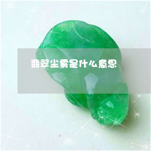 翡翠尘雾是什么意思/2023040967415 翡翠尘雾是什么意思/2023040967415
