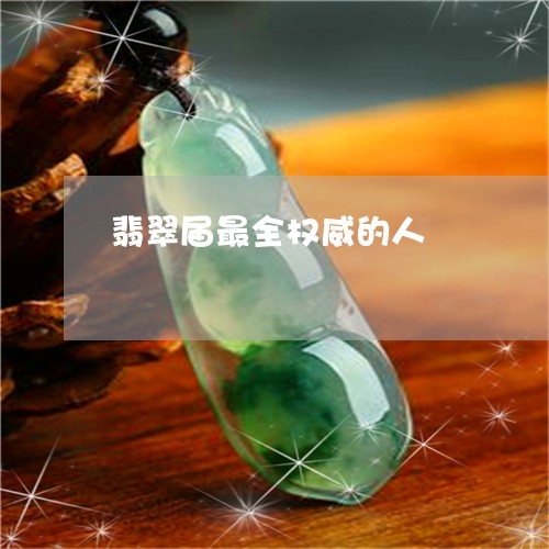 翡翠届最全权威的人/2023040910384 翡翠届最全权威的人/2023040910384