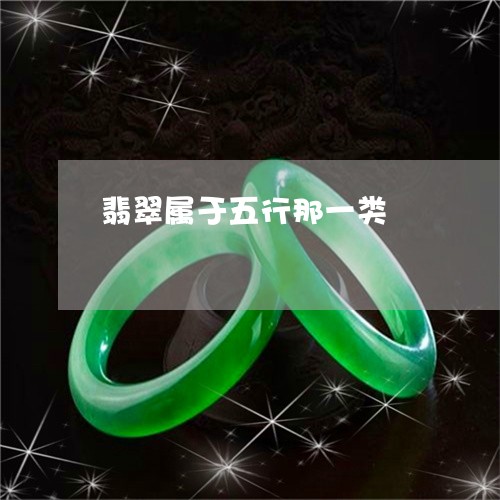 翡翠属于五行那一类/2023040905159