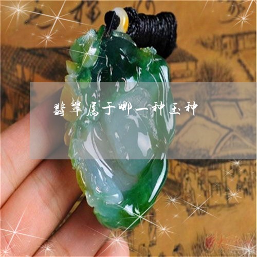 翡翠属于哪一种玉种/2023040904268