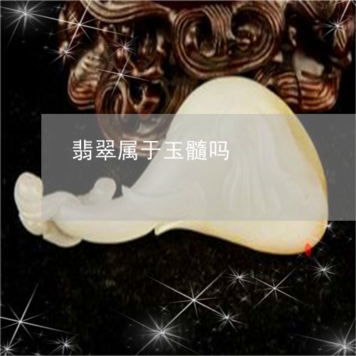 翡翠属于玉髓吗/2023032769269