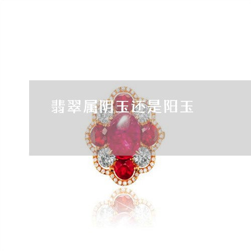 翡翠属阴玉还是阳玉/2023040902605