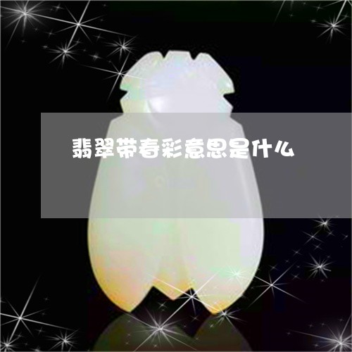 翡翠带春彩意思是什么/2023020961725 翡翠带春彩意思是什么/2023020961725
