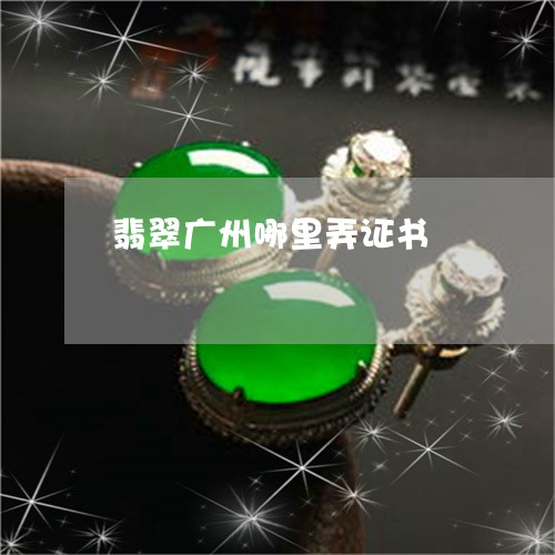 翡翠广州哪里弄证书/2023040971414 翡翠广州哪里弄证书/2023040971414