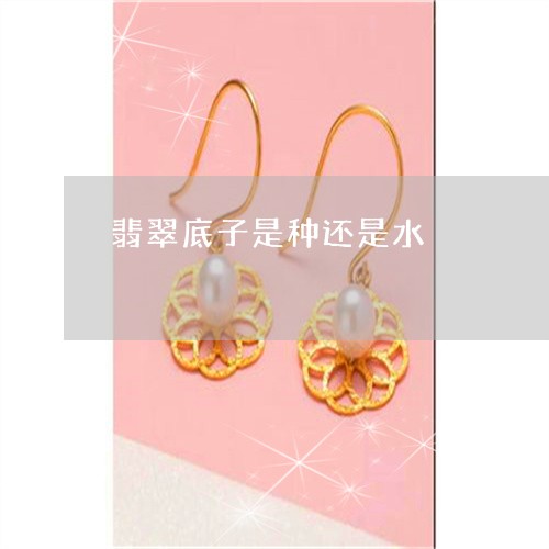 翡翠底子是种还是水/2023040901627