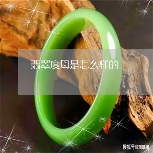 翡翠度母是怎么样的/2023040956169 翡翠度母是怎么样的/2023040956169