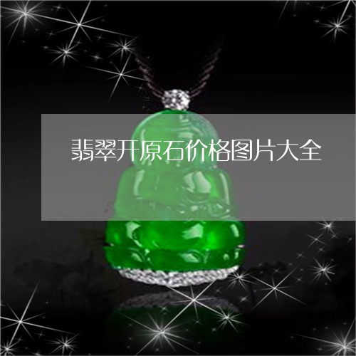 翡翠开原石价格图片大全/2023071015836