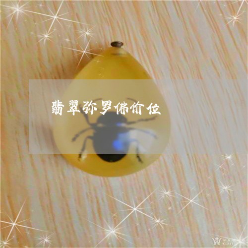 翡翠弥罗佛价位/2023032627158