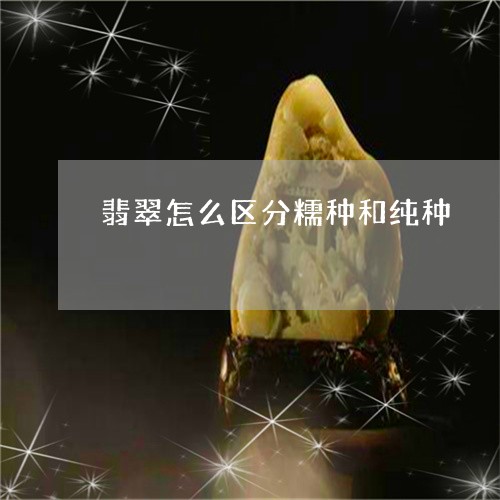 翡翠怎么区分糯种和纯种/2023071064626