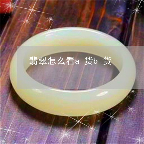 翡翠怎么看a货b货/2023040971794