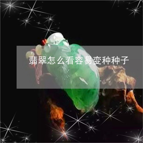 翡翠怎么看容易变种种子/2023061826160