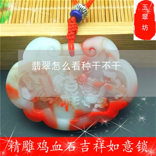 翡翠怎么看种干不干/2023040981503 翡翠怎么看种干不干/2023040981503
