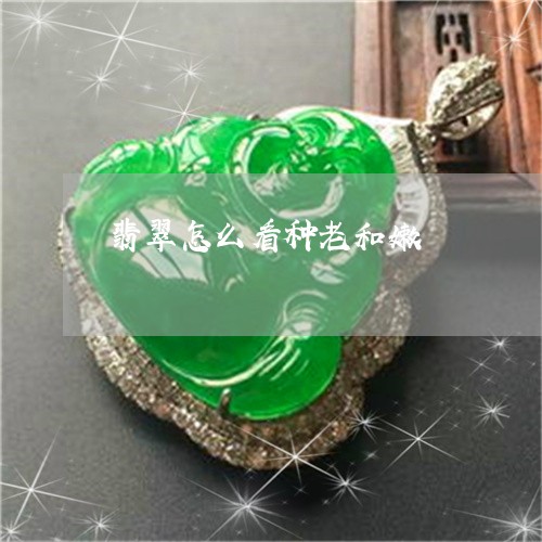 翡翠怎么看种老和嫩/2023040995049