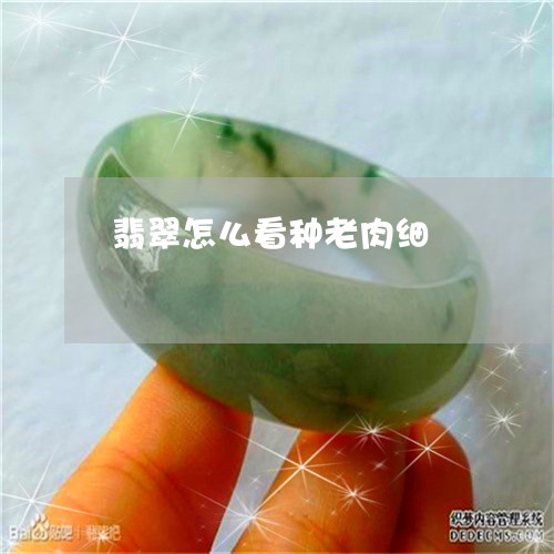 翡翠怎么看种老肉细/2023040914147
