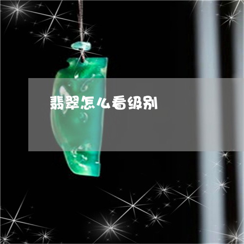 翡翠怎么看级别/2023032703059 翡翠怎么看级别/2023032703059