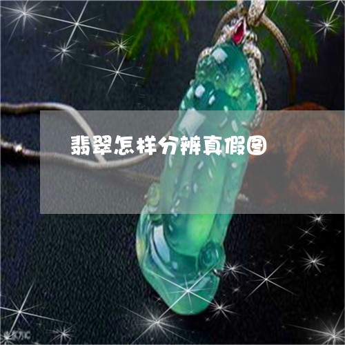 翡翠怎样分辨真假图/2023040969484