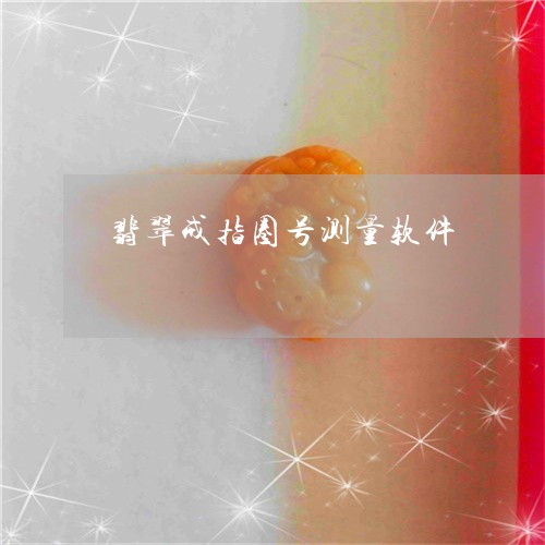 翡翠戒指圈号测量软件/2023061752825