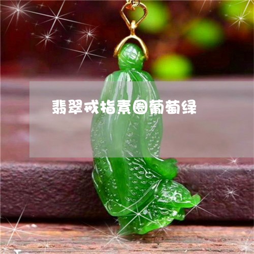 翡翠戒指素圈葡萄绿/2023041078472 翡翠戒指素圈葡萄绿/2023041078472