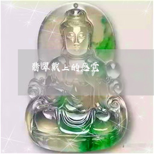 翡翠戴上的感觉/2023032795137 翡翠戴上的感觉/2023032795137