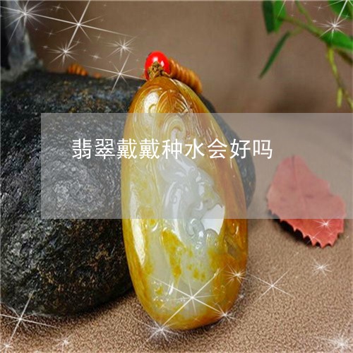 翡翠戴戴种水会好吗/2023041046048 翡翠戴戴种水会好吗/2023041046048