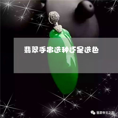 翡翠手串选种还是选色/2023061014873