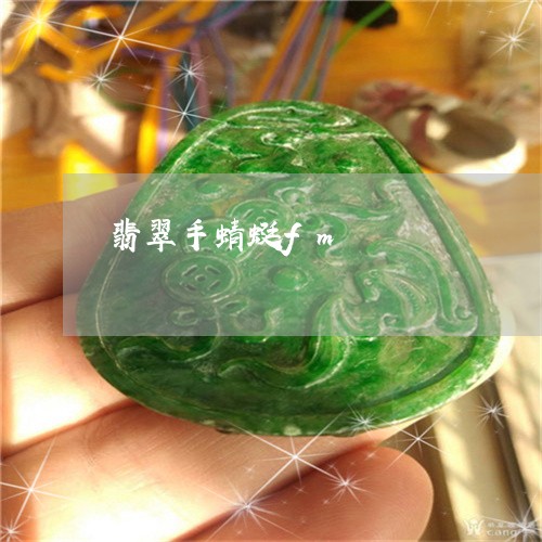 翡翠手蜻蜓fm/2023032503837