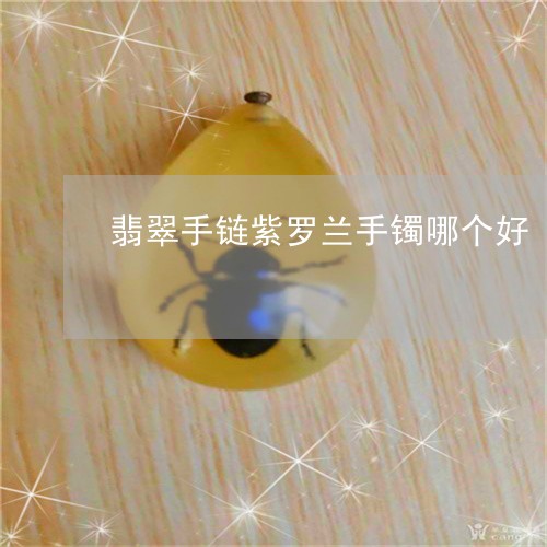 翡翠手链紫罗兰手镯哪个好/2023062971482