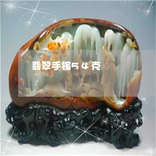 翡翠手镯54克/2023032617058