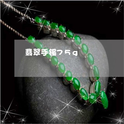 翡翠手镯75g/2023032592716 翡翠手镯75g/2023032592716