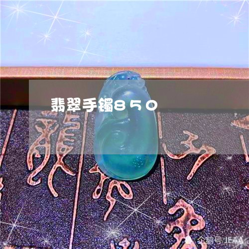 翡翠手镯850/2023032591605 翡翠手镯850/2023032591605
