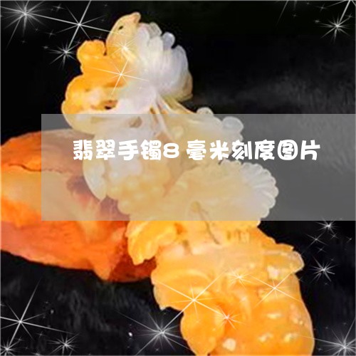 翡翠手镯8毫米刻度图片/2023061896592