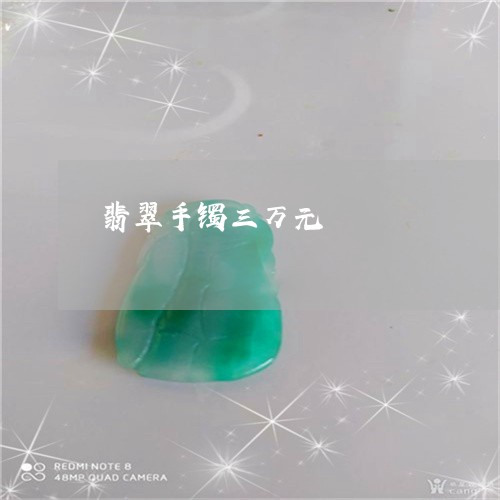 翡翠手镯三万元/2023032548251 翡翠手镯三万元/2023032548251