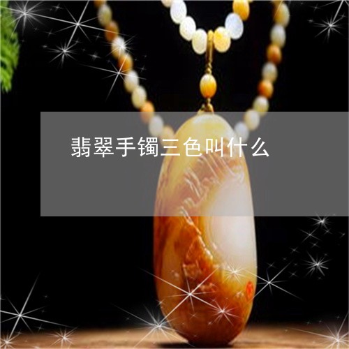 翡翠手镯三色叫什么/2023021402839 翡翠手镯三色叫什么/2023021402839