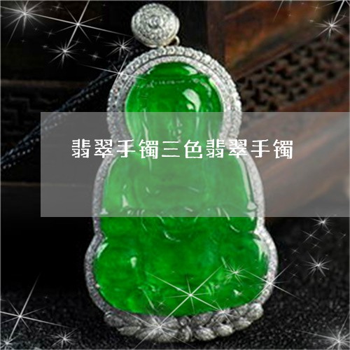 翡翠手镯三色翡翠手镯/2023061131373