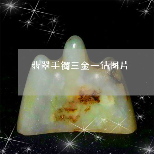 翡翠手镯三金一钻图片/2023061146169