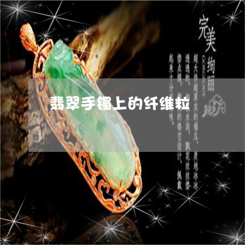 翡翠手镯上的纤维粒/2023021446249