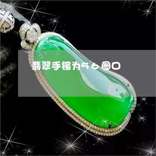 翡翠手镯为56圈口/2023021458148