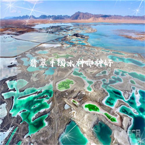 翡翠手镯冰种哪种好/2023021425157