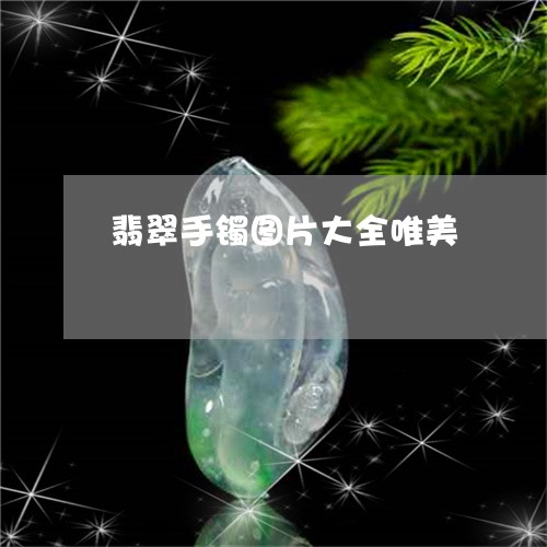 翡翠手镯图片大全唯美/2023061071605