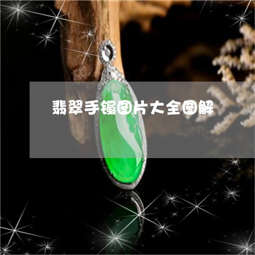 翡翠手镯图片大全图解/2023061081626