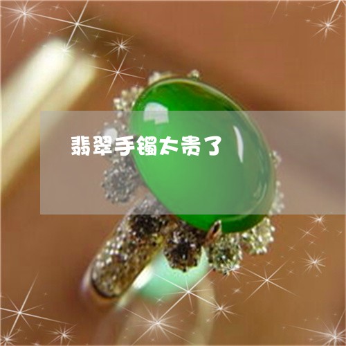 翡翠手镯太贵了/2023032684713 翡翠手镯太贵了/2023032684713