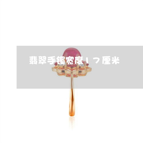翡翠手镯宽度17厘米 翡翠手镯宽度17厘米
