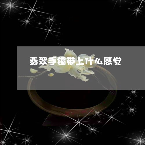 翡翠手镯带上什么感觉/2023061006184