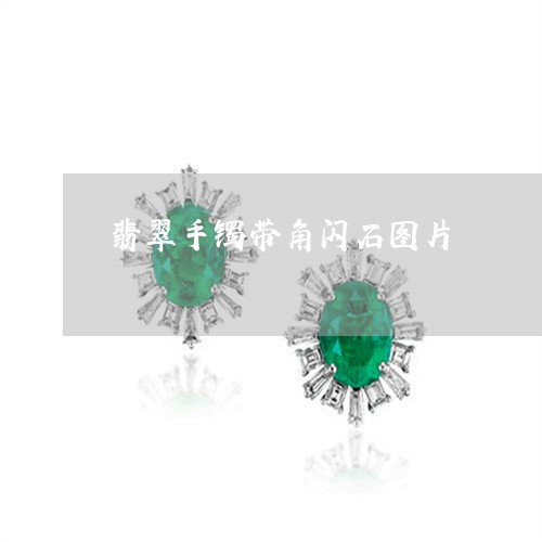 翡翠手镯带角闪石图片